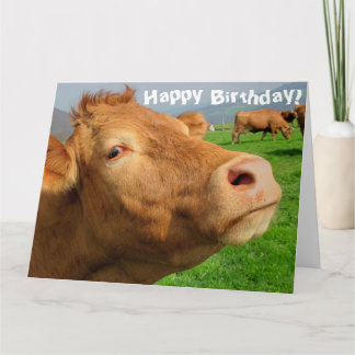 Cartão Feliz Aniversário da Vaca Engraçada