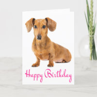 Feliz Aniversário Dachshund Puppy Dog Card