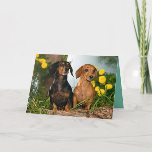 Cartão Feliz Aniversário Dachshund Puppy Dog Card