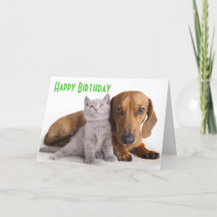 Cartão Feliz Aniversário Dachshund Puppy Dog Card