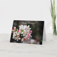 Feliz aniversario das flores de cerejeira