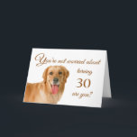 Cartão Feliz aniversário de 30 anos, laboratório preocupa<br><div class="desc">Um cartão de aniversário humorístico,  com um bonito Labrador Retriever,  que não está nem um pouco preocupado com a pessoa do aniversário envelhecendo. Afinal,  em anos de cão,  eles teriam 7 anos de idade! Concebidos por Rycky Creations; foto do laboratório cortesia de PhotoRack.</div>