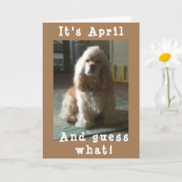 FELIZ *ANIVERSÁRIO DE ABRIL* DO COCKER ESPANIEL