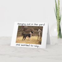 FELIZ ANIVERSÁRIO DE ANIMAIS DE BARNYARD