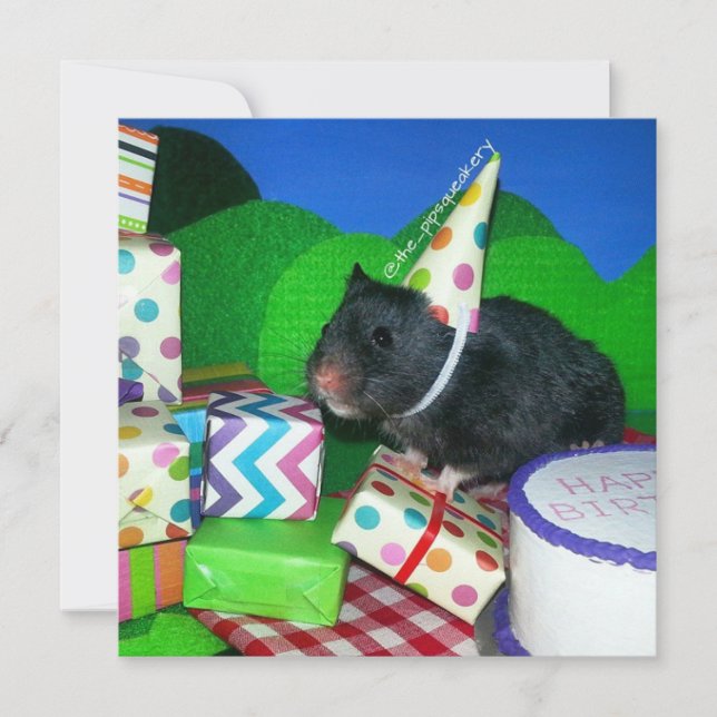 Cartão Feliz Aniversário de Hamster! (Frente)