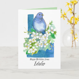 Cartão Feliz Aniversário de Idaho Bluebird Syringa Flores