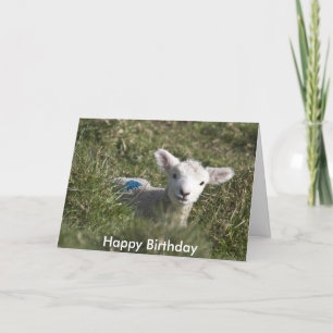 Cartão Feliz aniversário de mim a ovelha