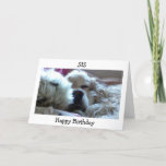 CARTÃO FELIZ ANIVERSÁRIO DE PASSAGEM/FAÇA O QUE QUISER<br><div class="desc">ESTA COCKER SPANIEL DESEJARÁ UM ANIVERSÁRIO FELIZ AO SEU 'SIS' E DIZER-LHE QUE MERECE FAZER O QUE QUISER NO "DIA ESPECIAL DELA"</div>