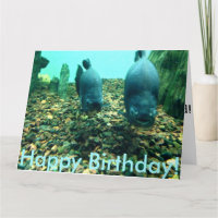 Feliz aniversário de peixe
