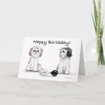 Feliz aniversário de Shitzu