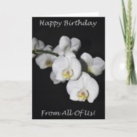 Feliz Aniversário De Todos Nós Orquídea Branca