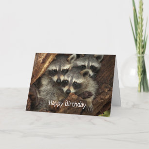 Cartão Feliz aniversário de todos nós Raccoons Divertidos