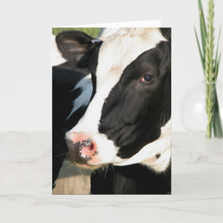 Cartão Feliz aniversario de Udderly
