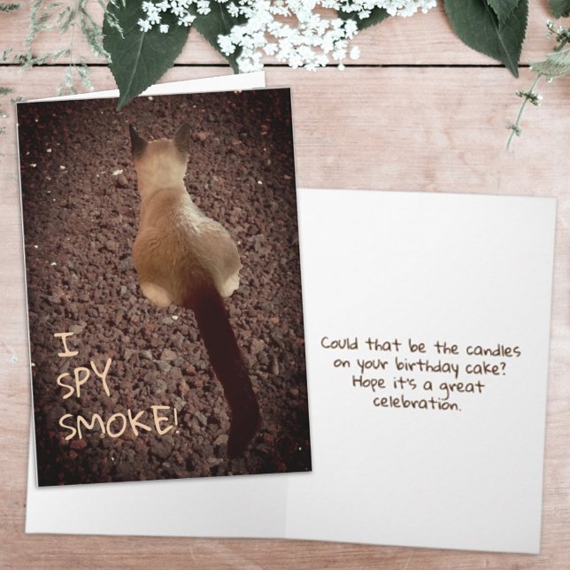 Cartão Feliz aniversário do Bumbum Siamese Kitten (Criador carregado)