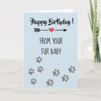 Feliz Aniversário do Cachorro Gato Pet Bebê Fofo