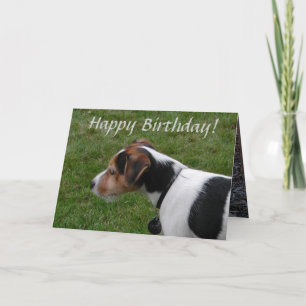Cartão Feliz aniversário do Cão