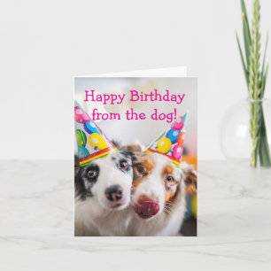 Cartão Feliz aniversário do Cão