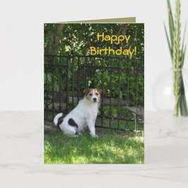 Cartão Feliz aniversario do cão