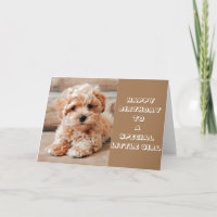 FELIZ ANIVERSÁRIO DO CARÃO DE CACHORRINHO FOFO - C