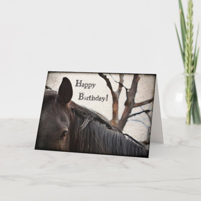 Cartão Feliz Aniversário do Cavalo Negro Saudação (Frente)