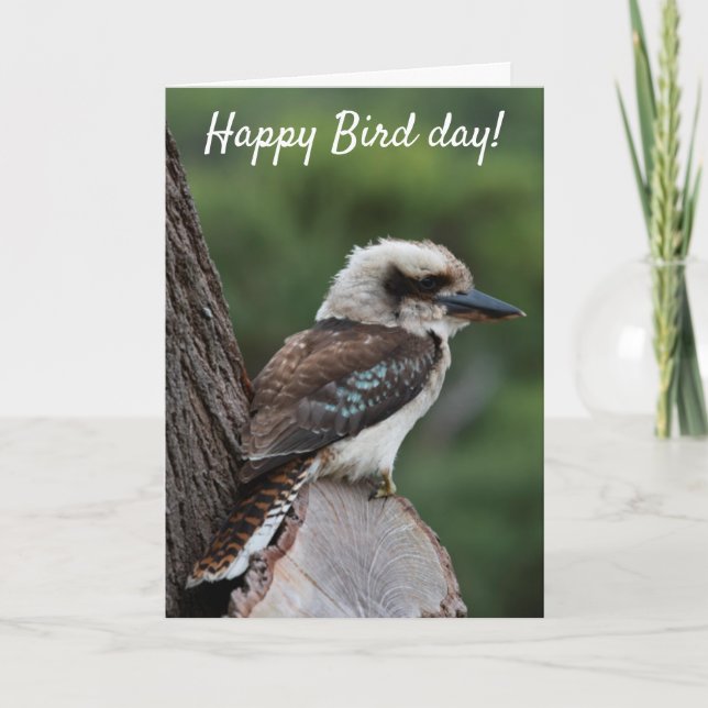 Cartão Feliz Aniversário do Dia das Aves Kookaburra Austr (Frente)
