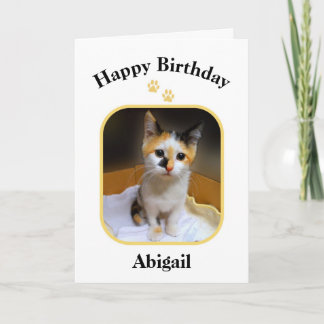 Cartão Feliz aniversario do gatinho da chita de Abigail