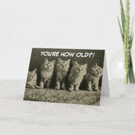 Cartão Feliz Aniversário do Gatinho Retro Gatinhos