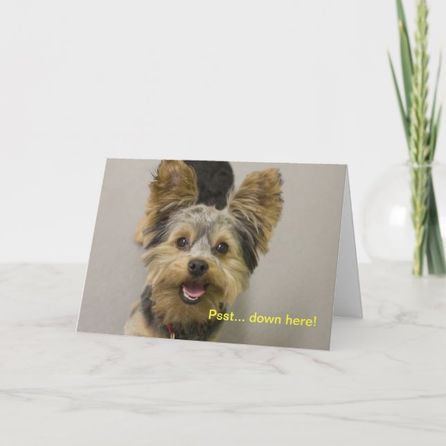 Cartão Feliz aniversário do pequeno. (Frente)