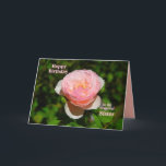 Cartão Feliz aniversario do rosa do rosa à irmã<br><div class="desc">O texto do cartão, que você pode mudar e personalizar. "Uma irmã é como um ~ do rosa bonito, mas olha para fora para os espinhos! Apenas caçoando sobre os espinhos! Muito amor em seu aniversário!" Está aqui a versão do modelo deste cartão com tamanho de pia batismal leve menor...</div>