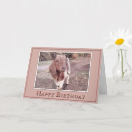 Cartão Feliz Aniversário - Do seu Filho Favorito