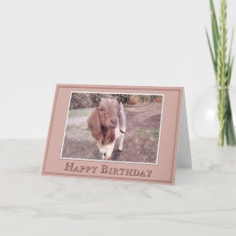 Cartão Feliz Aniversário - Do seu Filho Favorito
