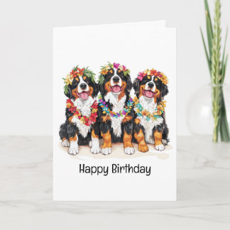 Cartão Feliz Aniversário dos Cães das Montanhas Bernesas