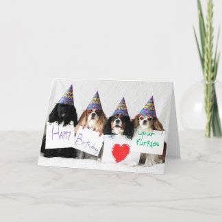 Cartão Feliz aniversario dos Cavaliers do cão do dia