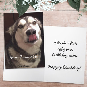 Cartão Feliz Aniversário Engraçado - Cão Malamute do A