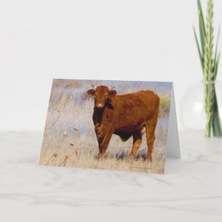 Cartão Feliz Aniversário Engraçado da Jovem Vaca Vermelha