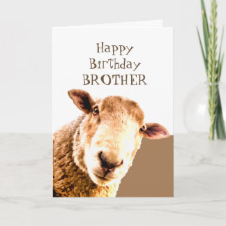 Cartão Feliz Aniversário Engraçado Ewe é O MELHOR IRMÃO N