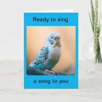 FELIZ ANIVERSÁRIO/EU "CANTAREI PARA VOCÊ"