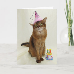 Cartão Feliz aniversário Festa Somali Cat