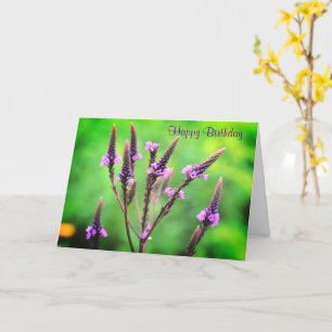 Cartão Feliz Aniversário Flor de Vervain Selvagem Adoráve