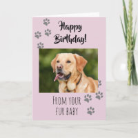 Feliz Aniversário Foto Cachorro Gato Pet Bebê de P