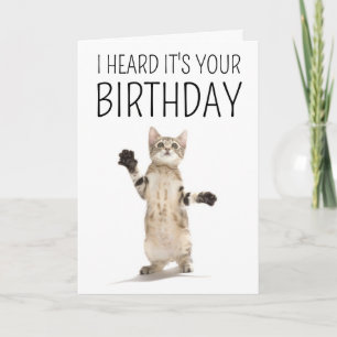 Cartão Feliz Aniversário   Gatinho no Branco
