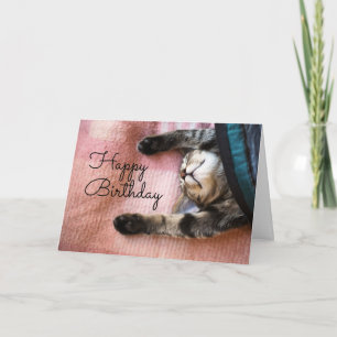 Cartão Feliz Aniversário   Gatinho Sonolento