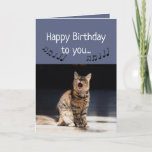 Cartão Feliz Aniversário Gato Engraçado Cantando Feliz<br><div class="desc">Feliz Aniversário Gato Engraçado Cantando Feliz Aniversário para aqueles que adoram gatos</div>