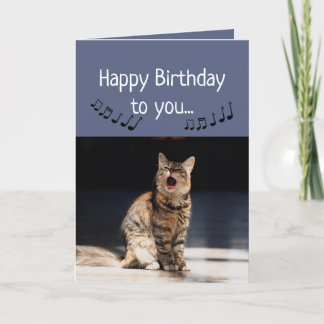 Cartão Feliz Aniversário Gato Engraçado Cantando Feliz