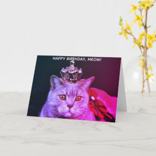 Cartão Feliz Aniversário Gato Real Engraçado