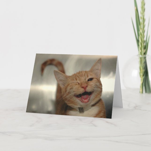 Cartão Feliz Aniversário Gato Ruivo Piscando (Frente)