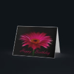 Cartão Feliz aniversario - Gerber cor-de-rosa<br><div class="desc">Desejos do aniversário</div>