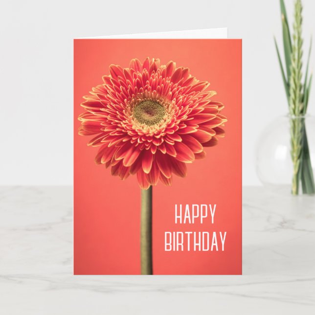Cartão Feliz Aniversário | Gerbera Daisy Barberton Vermel (Frente)