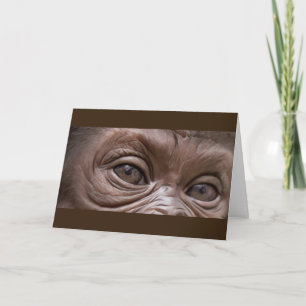 Cartão Feliz aniversário Gorilla