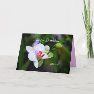 Cartão Feliz Aniversário Irmã Phalaenopsis Placa Orquídea